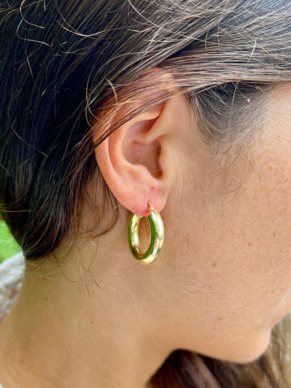 The Wilder Earrings